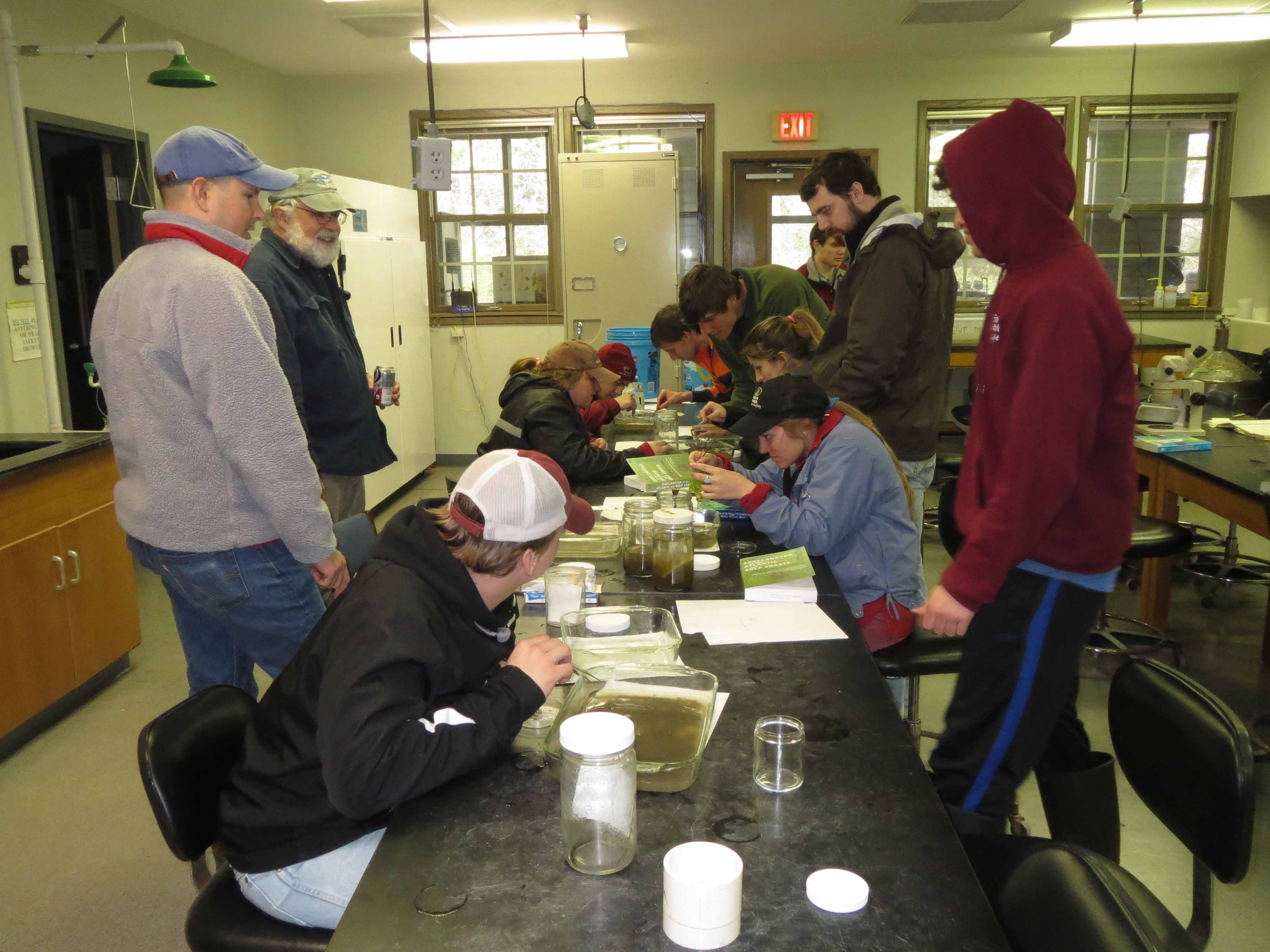 sorting ichthyoplankton