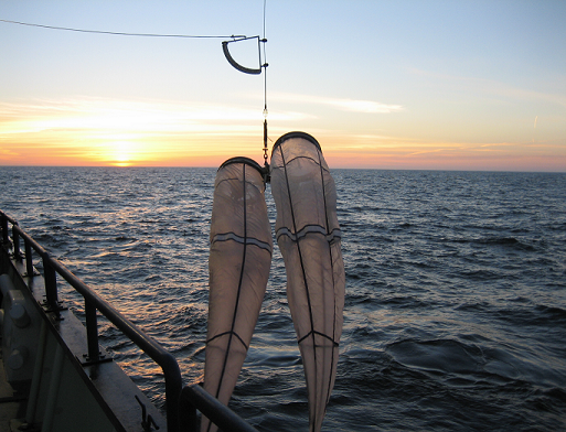 Bongos at Sunset