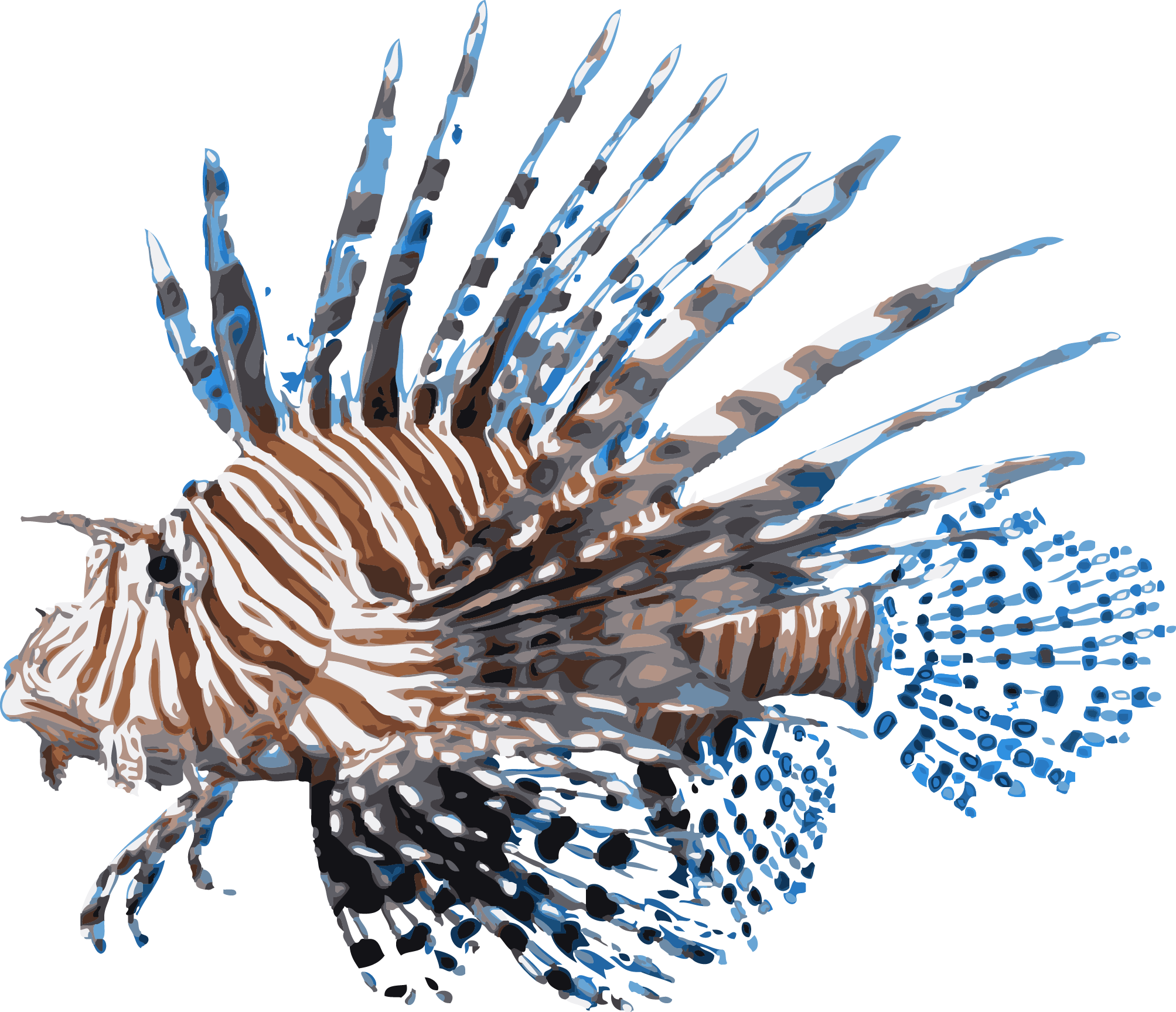 Rykaczewski_Lionfish